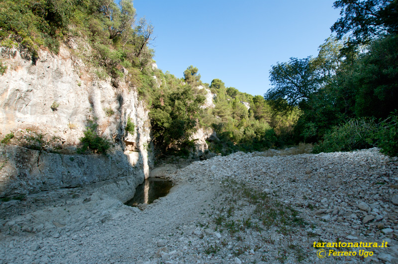 E adesso cosa accadr ?